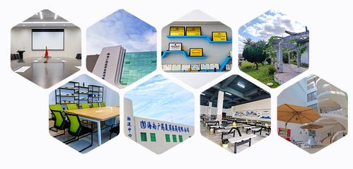 消博線報(bào) 醫(yī)藥黑科技、珍稀祖母綠與人工智能軟件齊聚，引領(lǐng)消費(fèi)新浪潮